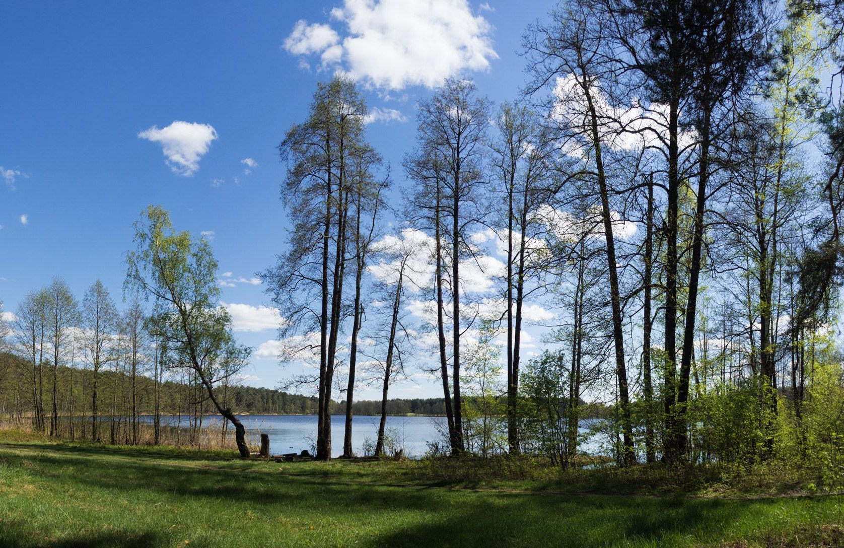 Черное озеро ульяновск фото